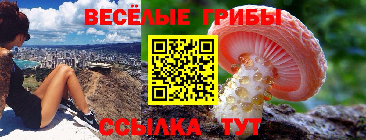 Россошь  Псилоцибиновые грибы Psilocybe  Вход с VPN 